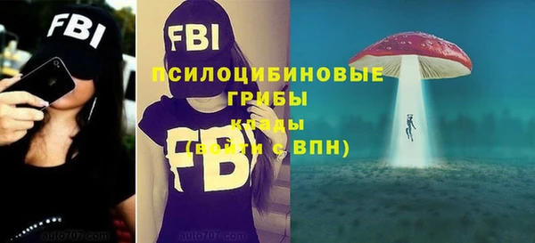 герыч Мегион