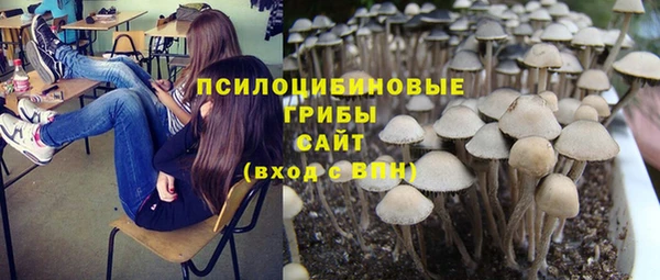 герыч Мегион