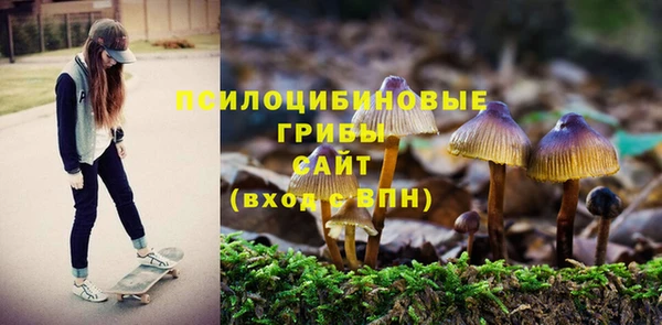 гашик Медногорск