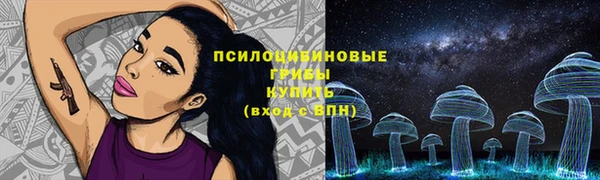 гашик Медногорск