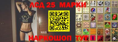 бошки Можга