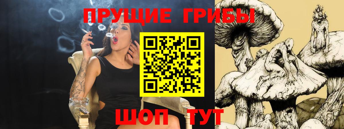 Галлюциногенные грибы прущие грибы  Вход с VPN  Галлюциногенные грибы Cubensis  Тамбов 